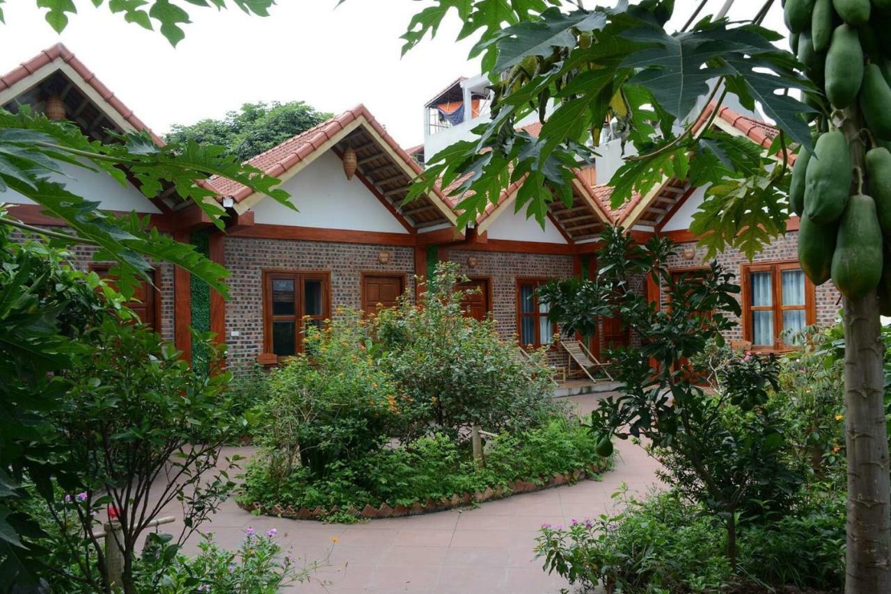 Tam Coc Cozy Homestay Ninh Binh Exteriér fotografie
